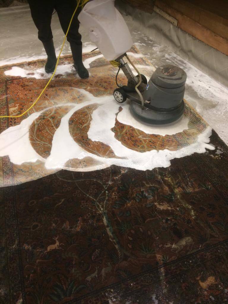 Rug cleaning solution rug cleaning solution