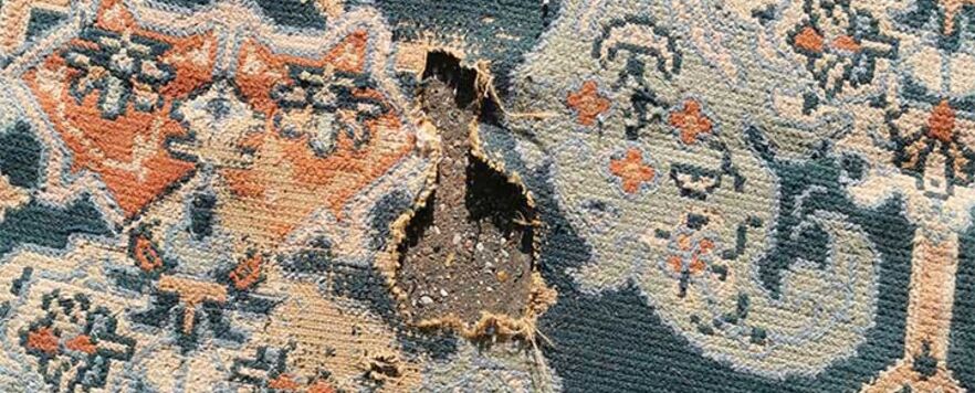 peter-shaw-needlepoint-before peter-shaw-needlepoint-before